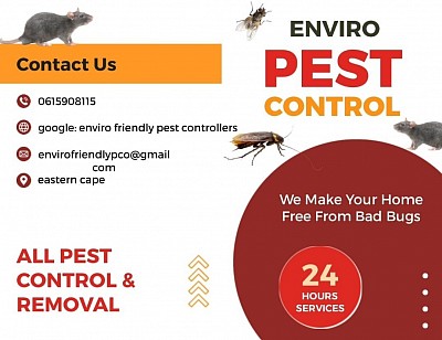 Our services